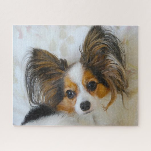 Papillon-Hund. Puzzle (Horizontal)