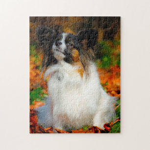 Papillon-Hund. Puzzle