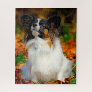 Papillon-Hund. Puzzle