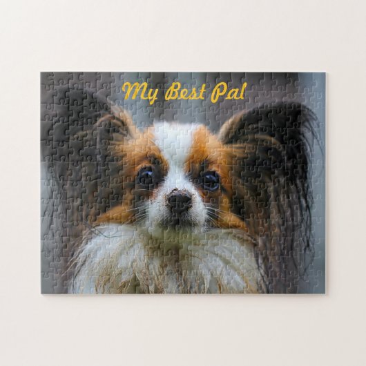 Papillon-Hund. Puzzle (Horizontal)