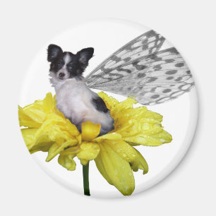 Papillon Hundefee-Magnet Magnet