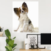 Papillon-Hundeportrait Poster (Heimbüro)