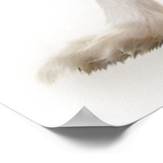 Papillon-Hundeportrait Poster (Ecke)