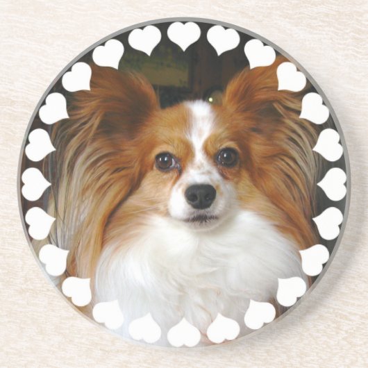 Papillon HundeUntersetzer Untersetzer (Vorne)
