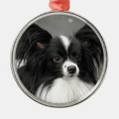 Papillon Hundeverzierung Silbernes Ornament (Vorne)