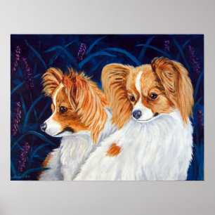 Papillon-Hundewand Poster