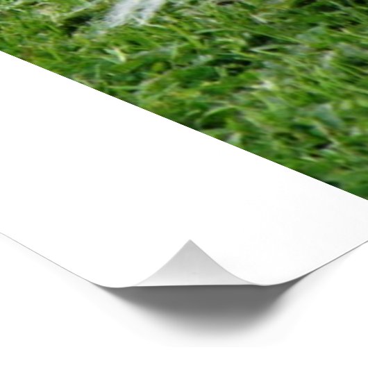 Papillon_in-Bewegung Poster (Ecke)