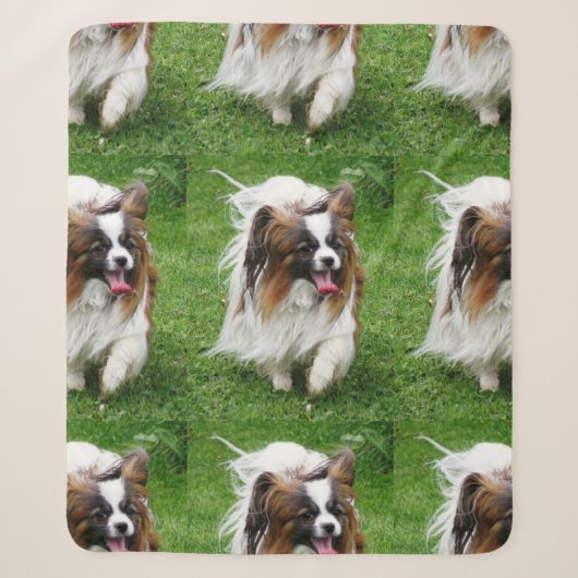 Papillon_in-Bewegung Sherpadecke (Vorderseite)