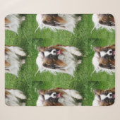 Papillon_in-Bewegung Sherpadecke (Vorderseite (Horizontal))