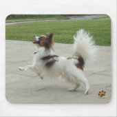 Papillon Jumping Mousepad (Vorne)
