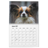 Papillon-Kalender Kalender (Jan 2027)