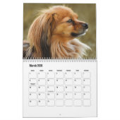 Papillon-Kalender Kalender (Mär 2026)
