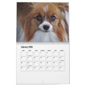 Papillon-Kalender Kalender (Feb 2026)