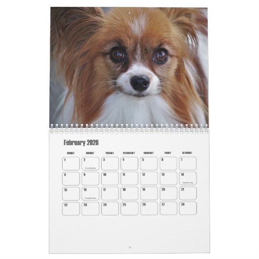 Papillon-Kalender Kalender (Feb 2026)