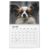 Papillon-Kalender Kalender (Jan 2026)