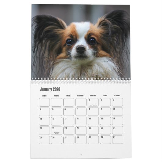 Papillon-Kalender Kalender (Jan 2026)