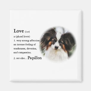 Papillon Kunst-Geschenke Magnet