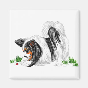 Papillon Lady Bug Dreams Magnet