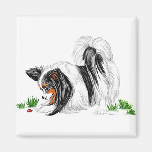 Papillon Lady Bug Dreams Magnet (Vorne)
