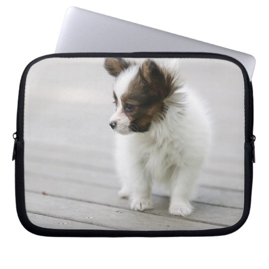Papillon Laptopschutzhülle (Vorderseite)