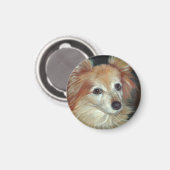 Papillon Magnet (Vorderseite/Rückseite)