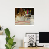 Papillon Mama und Baby Poster (Heimbüro)