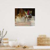 Papillon Mama und Baby Poster (Küche)