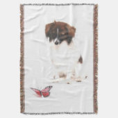 PAPILLON MAX und BUTTERFLY Decke (Vorderseite Vertikal)