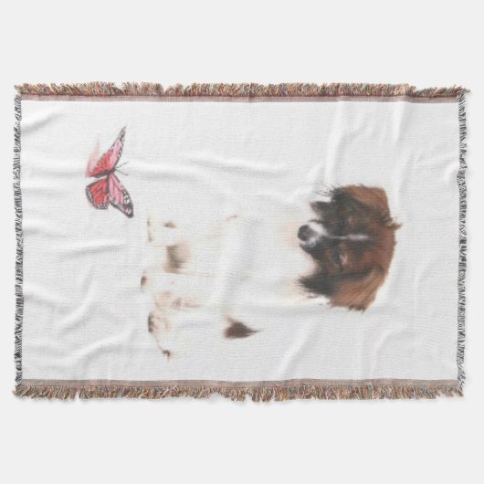 PAPILLON MAX und BUTTERFLY Decke (Vorderseite)