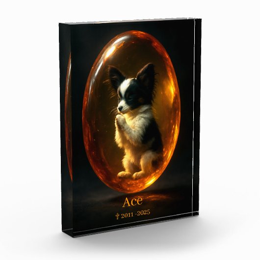 Papillon-Memorial-Fotoblock Fotoblock (Links)