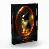 Papillon Memorial Photo Block (Links)