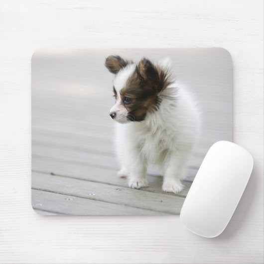 Papillon Mousepad (Mit Mouse)