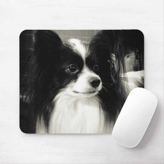 papillon mousepad (Mit Mouse)