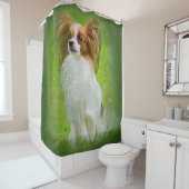 Papillon, Papillon, Papillon-Hunde, Papillon-Hund, Duschvorhang (Beispiel)