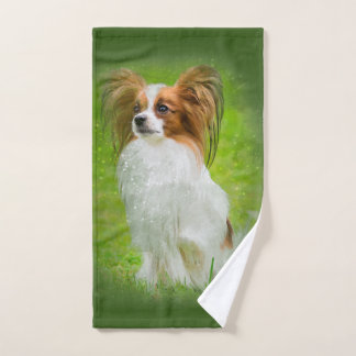 Papillon, Papillon, Papillon-Hunde, Papillon-Hund, Handtuch