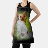 Papillon, Papillon, Papillon-Hunde, Papillon-Hund, Schürze (InSitu)