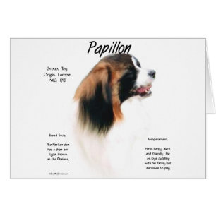 Papillon (Phalene) Geschichtsdesign
