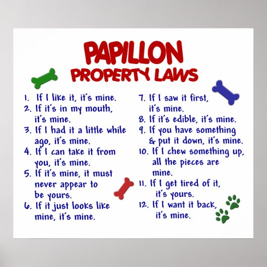 PAPILLON PL2 POSTER (Vorne)