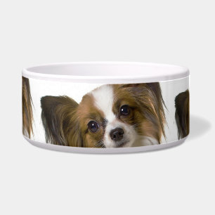 papillon.png napf