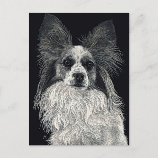 Papillon Postcard - "Glitzern" Postkarte (Vorderseite)