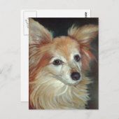 Papillon Postcard Postkarte (Vorne/Hinten)