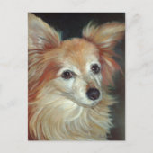 Papillon Postcard Postkarte (Vorderseite)