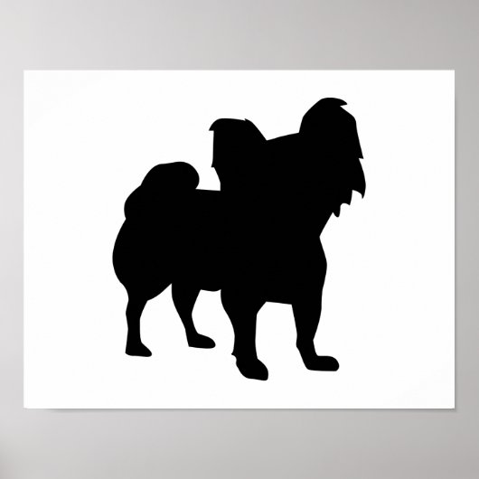 Papillon Poster (Vorne)