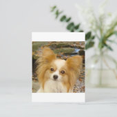 Papillon Postkarte (Stehend Vorderseite)