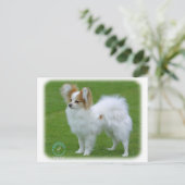 Papillon Postkarte (Stehend Vorderseite)