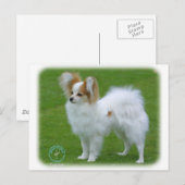 Papillon Postkarte (Vorne/Hinten)