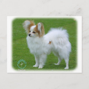 Papillon Postkarte