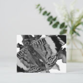 Papillon Postkarte (Stehend Vorderseite)