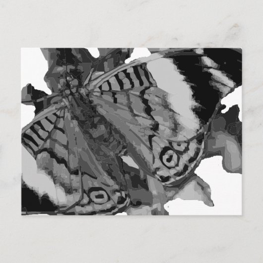 Papillon Postkarte (Vorderseite)