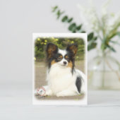 Papillon Postkarte (Stehend Vorderseite)